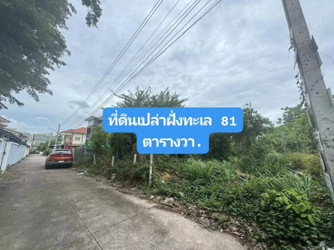 ที่ดินพัทยาใกล้ปราสาทสัจธรรม